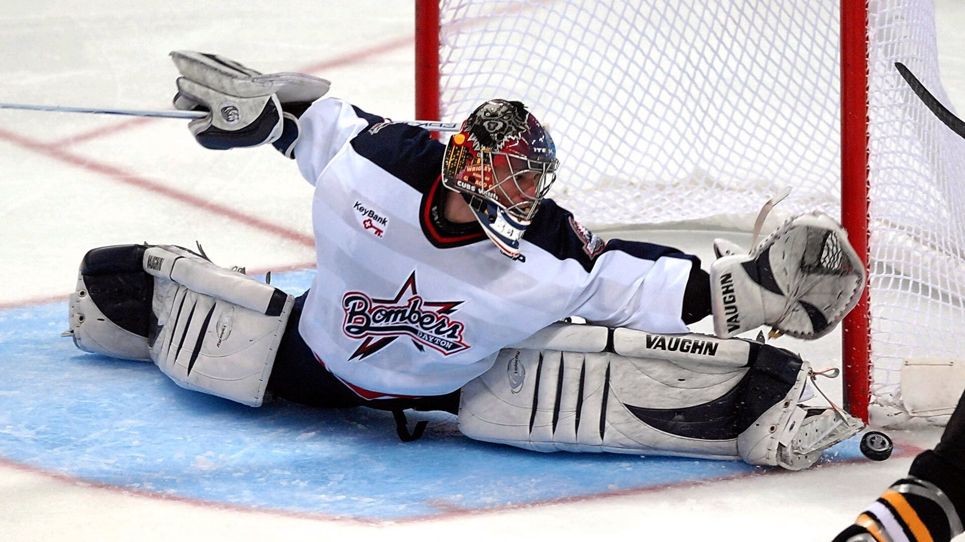 “诺克·达维德·彼得森:南非羚羊队新的战术灵魂”