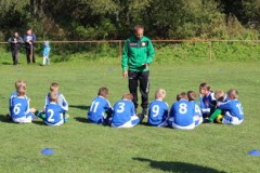 九游app下载中心-澳大利亚队如何通过团队赛制战术，在大赛中脱颖而出，澳大利亚队伍